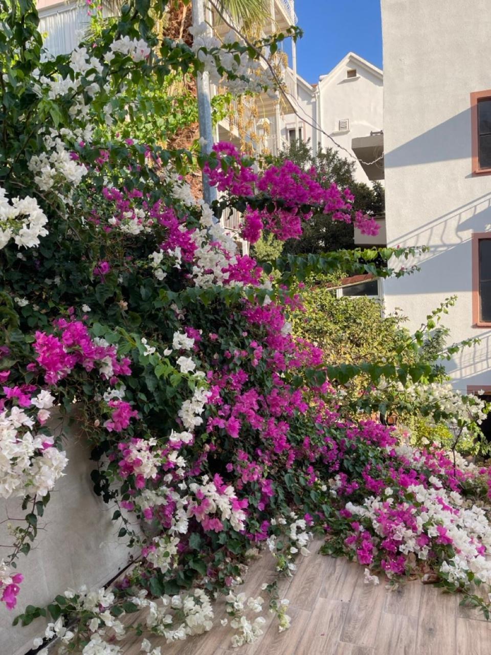 Paydos Pansiyon Kaş Exterior photo